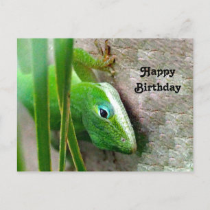 Carte Postale Photo d'anniversaire de lézard vert Anole de Carol