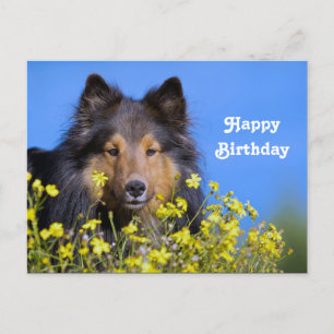 Carte Postale Photo d'anniversaire floral Sheltie