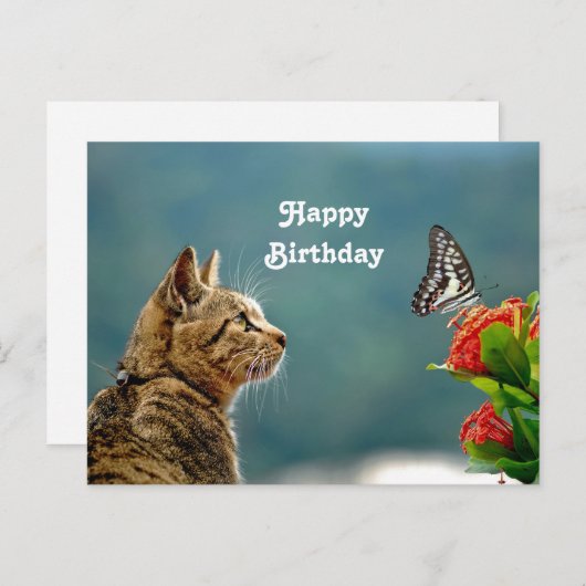 Carte Postale Photo d'anniversaire papillon de chat tabby mignon (Devant / Derrière)