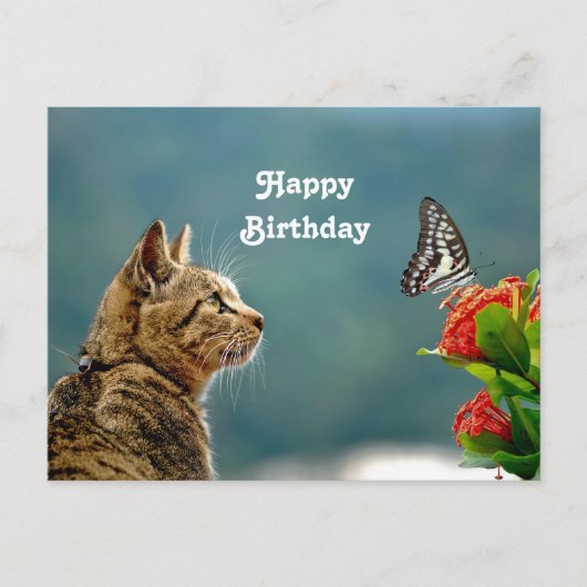 Carte Postale Photo d'anniversaire papillon de chat tabby mignon (Devant)