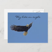 Carte Postale Photo de Bald Eagle (Devant / Derrière)