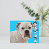 Carte Postale Photo de boîte blanche (Debout devant)