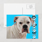 Carte Postale Photo de boîte blanche (Devant / Derrière)