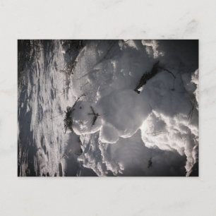 Carte postale photo de bonhomme de neige