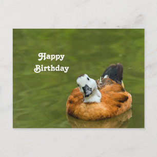 Carte Postale Photo de canard coloré mignon pour anniversaire