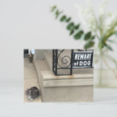 Carte Postale Photo de chat amusant (Debout devant)