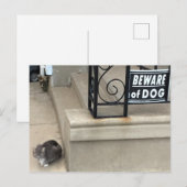 Carte Postale Photo de chat amusant (Devant / Derrière)