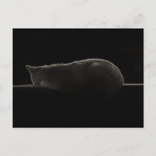 Carte Postale Photo de chat couché (Devant)