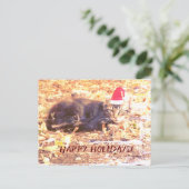 Carte postale Photo de chat Happy Holidays (Debout devant)