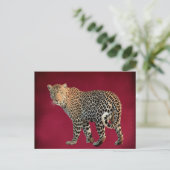 Carte Postale Photo de chat sauvage léopard tacheté (Debout devant)