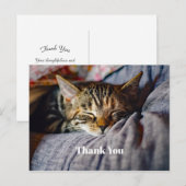 Carte Postale Photo de chat tabby mignon endormi Merci (Devant / Derrière)