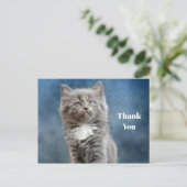 Carte Postale Photo de chaton gris et blanc mignon Merci (Debout devant)