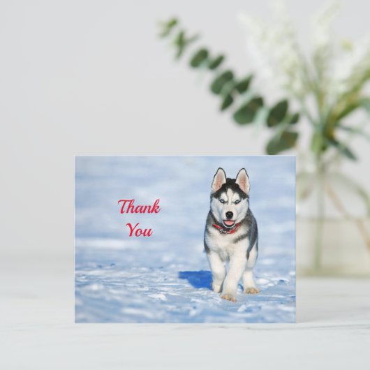 Carte Postale Photo de chiot Husky dans la neige Merci (Debout devant)