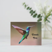 Carte Postale Photo de colibri vert sauvage Merci (Debout devant)