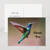 Carte Postale Photo de colibri vert sauvage Merci (Devant / Derrière)