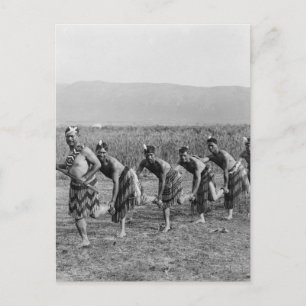 Carte Postale Photo de danse de guerre maorie
