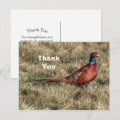 Carte Postale Photo de faisan Merci (Devant / Derrière)