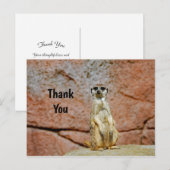 Carte Postale Photo de faune de suricate Merci (Devant / Derrière)