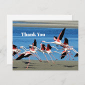 Carte Postale Photo de faune de vol de flamant rose Merci (Devant / Derrière)