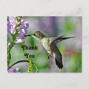 Carte Postale Photo de faune florale rose de colibri Merci