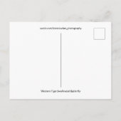 Carte Postale Photo de fermeture du papillon à queue noire de l' (Dos)