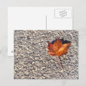 CARTE POSTALE PHOTO DE FEUILLE D'AUTOMNE (Devant / Derrière)