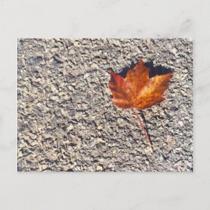CARTE POSTALE PHOTO DE FEUILLE D'AUTOMNE