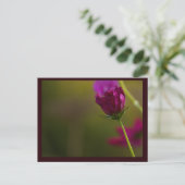 Carte postale photo de fleur (Debout devant)