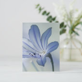 Carte Postale Photo de fleur bleue fraîche (Debout devant)