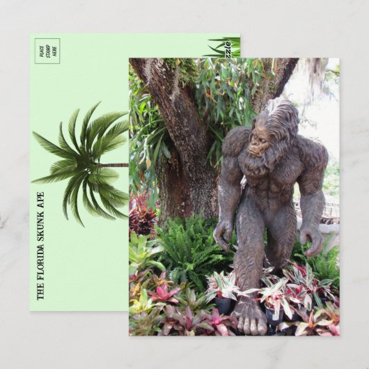 Carte Postale Photo de Floride Skunk Ape (Devant / Derrière)