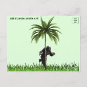Carte Postale Photo de Floride Skunk Ape (Dos)