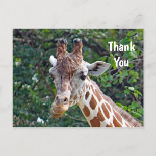 Carte Postale Photo de girafe sauvage Merci
