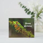Carte Postale Photo de grenouille à yeux rouges pour anniversair (Debout devant)
