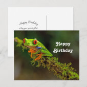 Carte Postale Photo de grenouille à yeux rouges pour anniversair (Devant / Derrière)