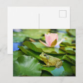 Carte Postale Photo de grenouille mignonne sur feuille de nénuph (Devant / Derrière)