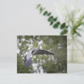 Carte Postale Photo de Grey Heron Nature (Debout devant)