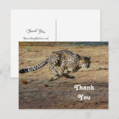 Carte Postale Photo de guépard en pleine course, merci (Devant / Derrière)