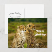 Carte Postale Photo de guépard faunique Anniversaire (Devant / Derrière)