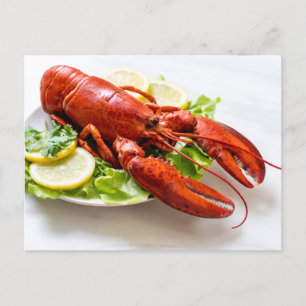 Carte Postale Photo de homard