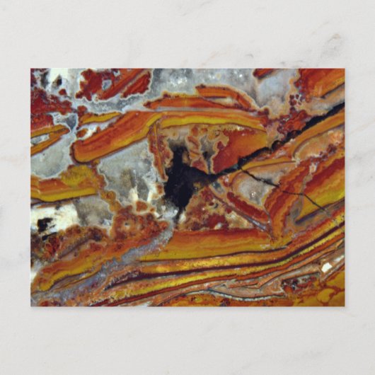 Carte Postale Photo de jasper orange et jaune (Devant)