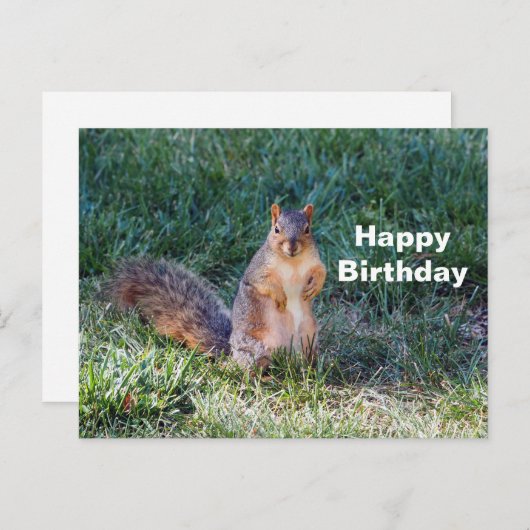 Carte Postale Photo de joyeux anniversaire d'un écureuil mignon (Devant / Derrière)