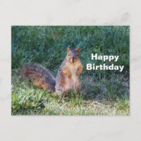 Photo de joyeux anniversaire d'un écureuil mignon