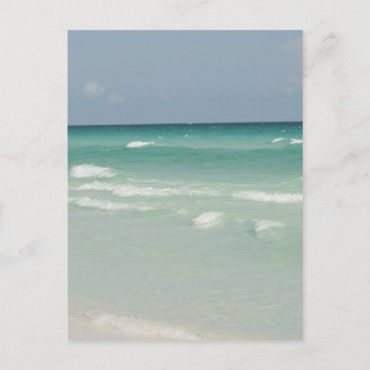Carte Postale photo de la côte du golfe (Devant)