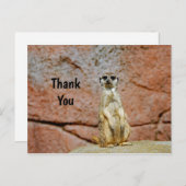 Carte Postale Photo de la faune de suricates Merci (Devant / Derrière)