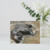 Carte Postale Photo de la Journée des éléphants en Thaïlande (Debout devant)