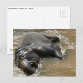 Carte Postale Photo de la Journée des éléphants en Thaïlande (Devant / Derrière)