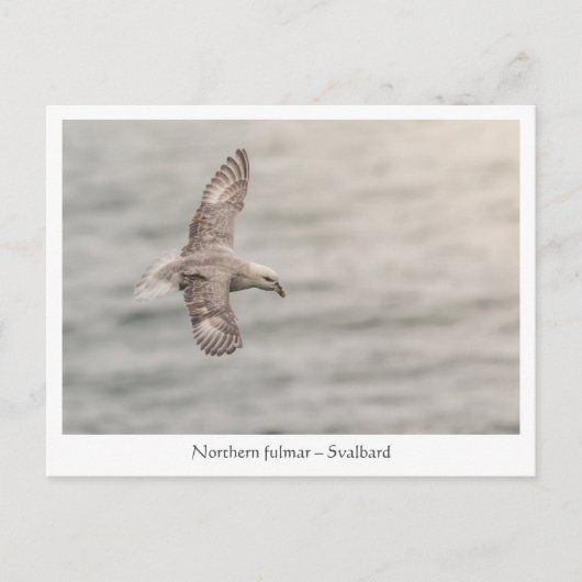 Carte Postale Photo de la nature du nord (Devant)