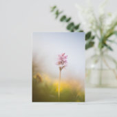 Carte Postale Photo de la nature orchidée (Debout devant)