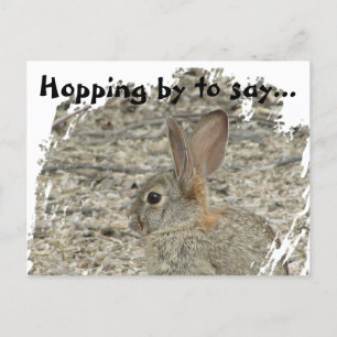 Carte Postale Photo de lapin remerciement genre neutre