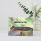 Carte Postale Photo de l'écureuil blond (Debout devant)